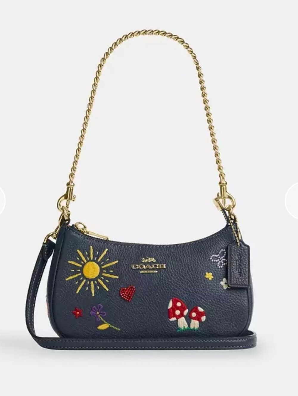 Coach Teri Crossbody Bag With Embroidery